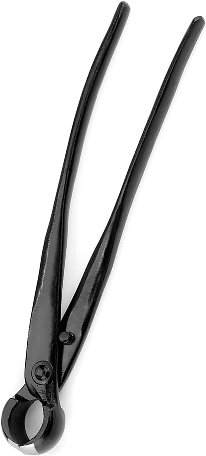 51p6T-PmrtL._AC_SL1500_.jpg