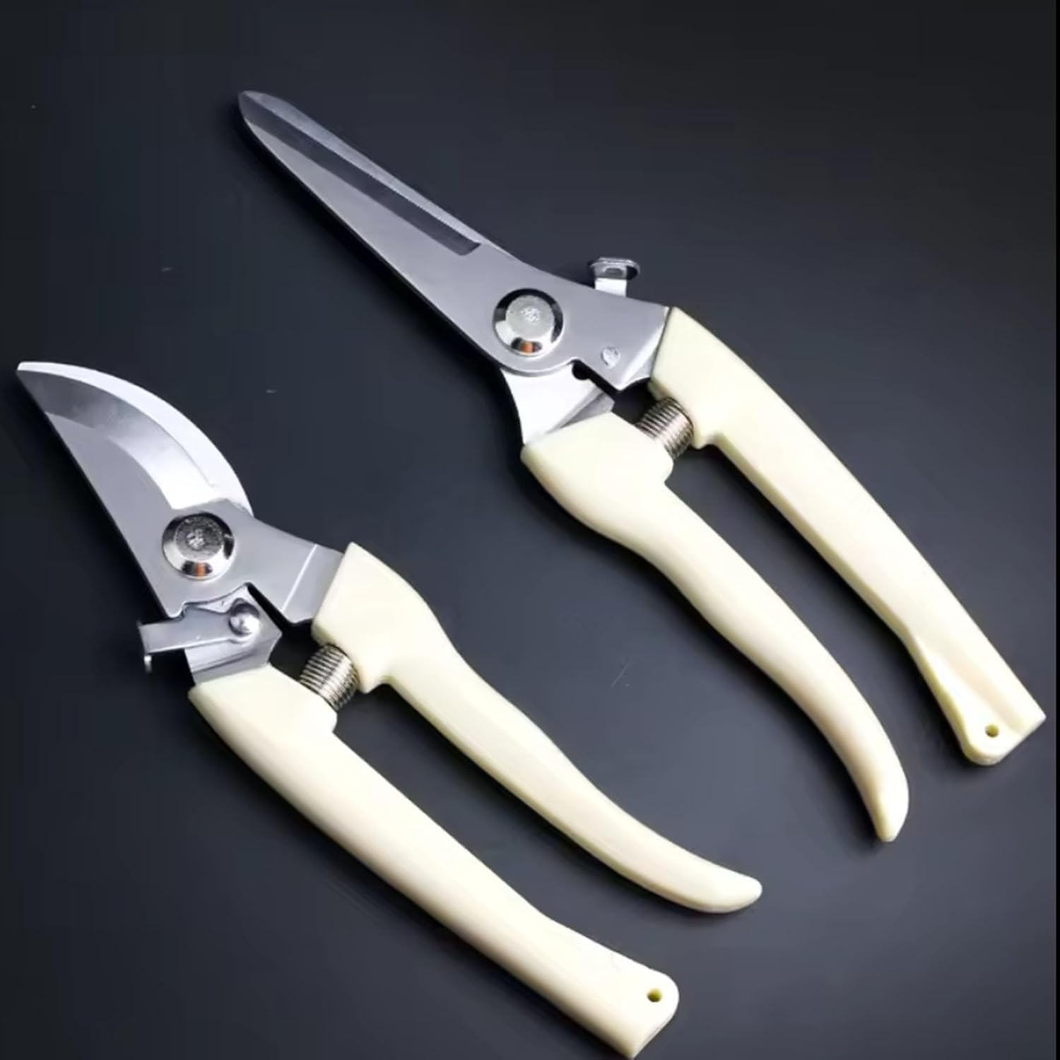 612RMX5SmBL._AC_SL1500_.jpg 612RMX5SmBL. AC SL1500 - theoctopusgarden