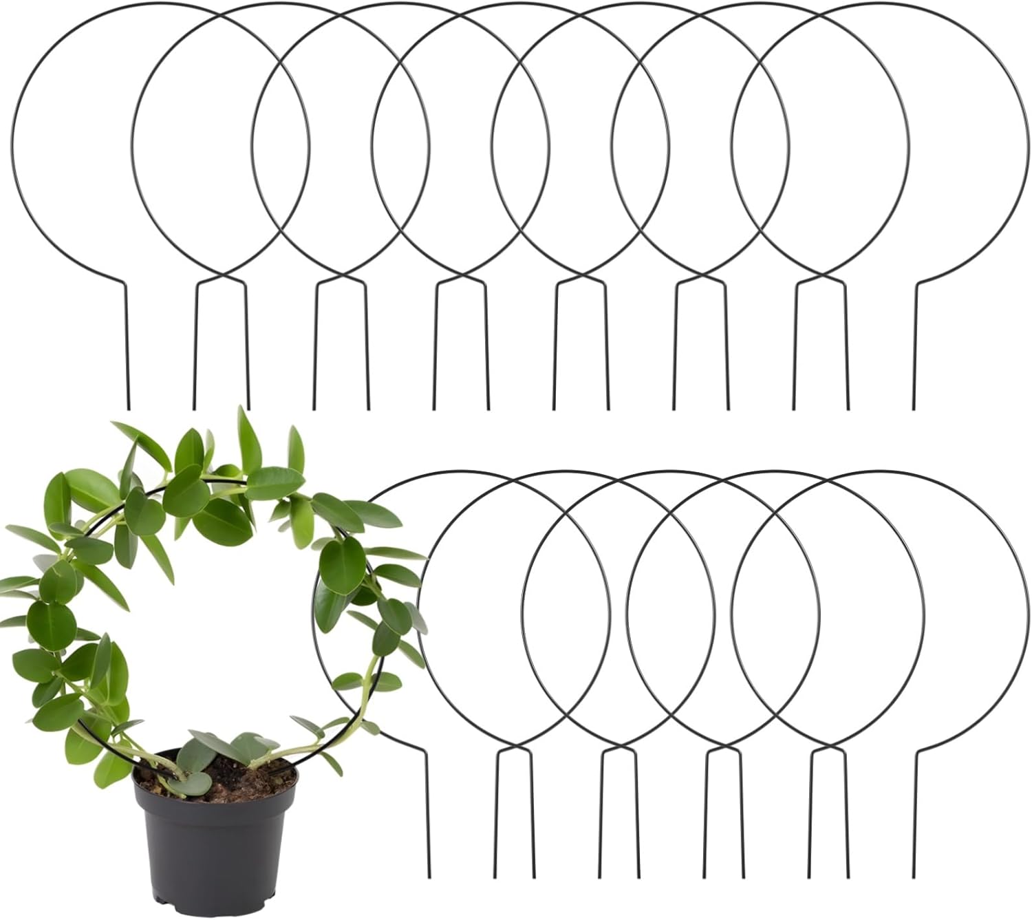 12 Pack 13.4 Inch Indoor Plant Trellis for Potted Plants, Metal Small Garden Trellis Round Plant Trellis Support Stakes for Climbing Plants Ivy and Flowers, Black