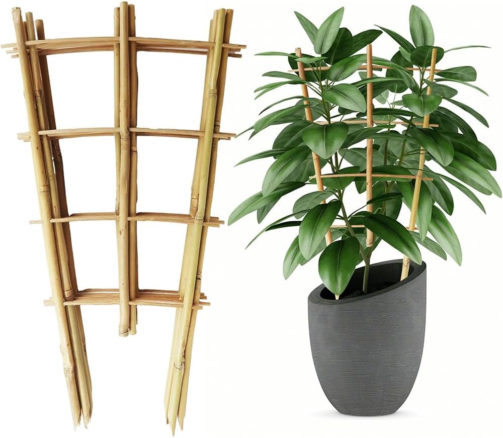 16 Inch Bamboo Trellis, 3 Pack Fan-Shaped Plant Support Trellis, Garden Ladder Trellis with Twist Ties for Indoor, Mini Climbing Plants Hoya Potted Plants House Plants Monstera Vine Ivy