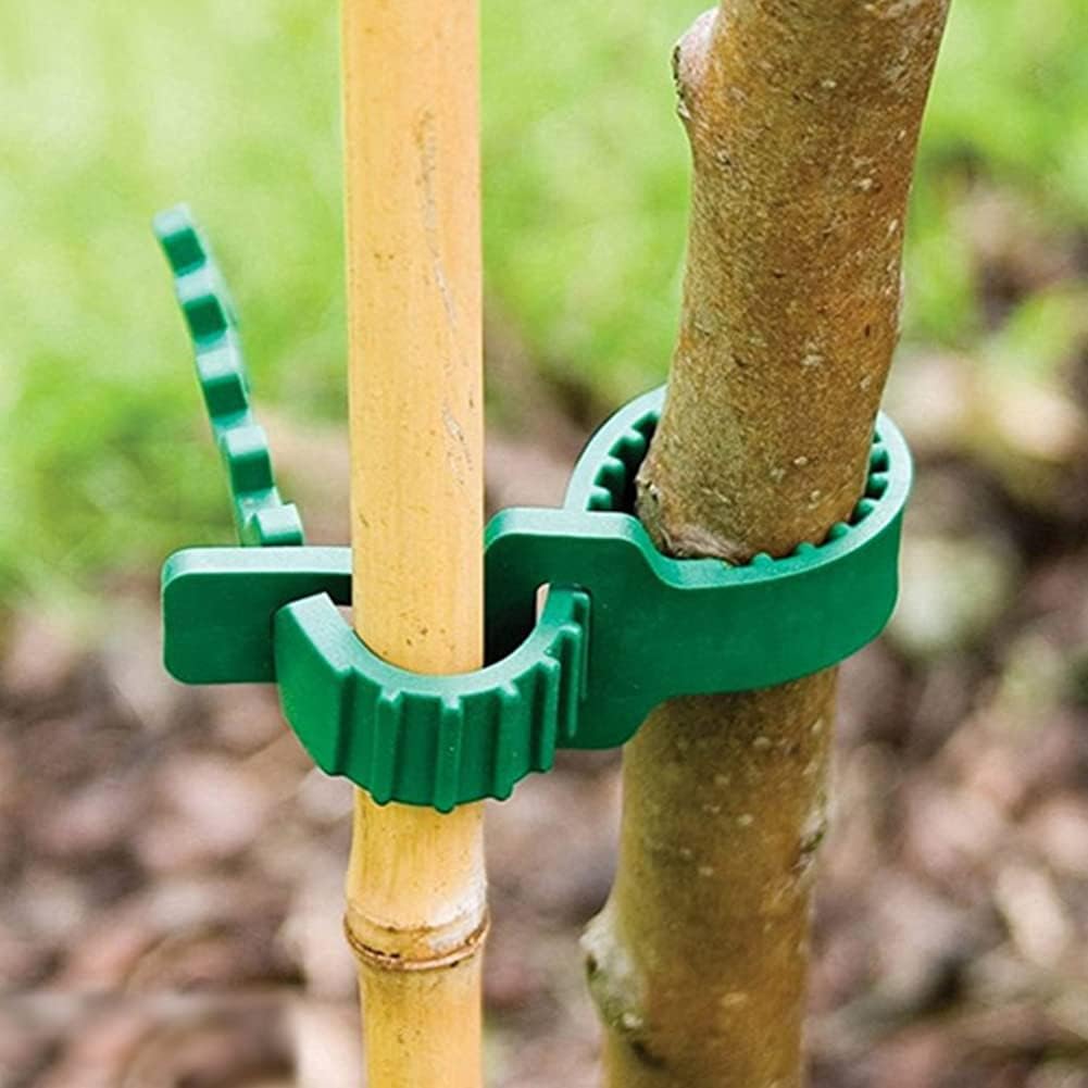 10 PCS Tree Stake Support Bands, Heavy Duty Adjustable Interlock Tree Plant Ties, Reusable Garden Plants Shrub Ties 9.4 inch(Green), free size