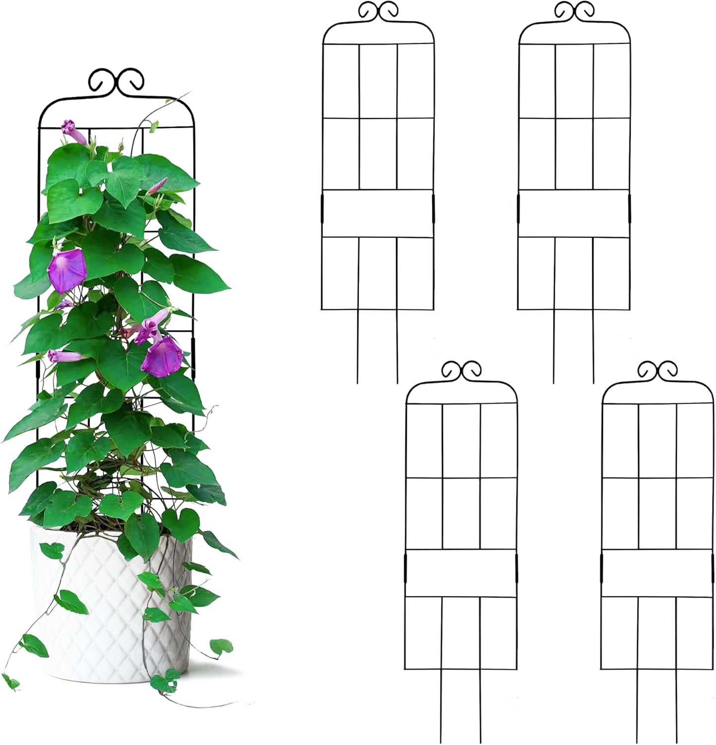 2 Pack 30'' Plant Trellis for Climbing Plants Indoors, Metal Garden Trellis for Potted Houseplant, Rustproof Plant Support for Ivy, Vines, Pothos, Hoya and Flower, Black