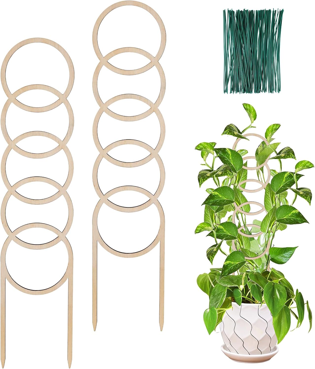 17.5 Inch Indoor Plant Trellis for Climbing Plants,Small Garden Trellis for Potted Plants,with Moisture-Proof Layer Plant Stakes for Indoor Plants Accessories Hoya,Flower,Monste (Circle)