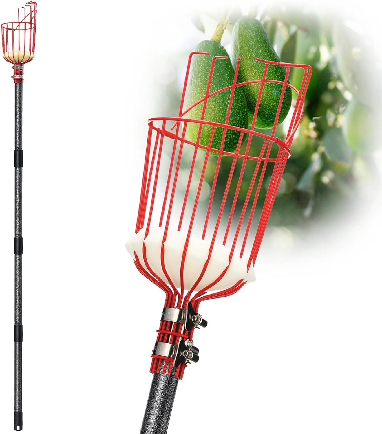 DonSail Fruit Picker Pole Tool with Basket Telescoping Long Handle, 35-65 Inch Adjustable Apple Orange Picker Pole Tool with Basket for Avocado Acorn Lemon Pear Mango Tree Picker