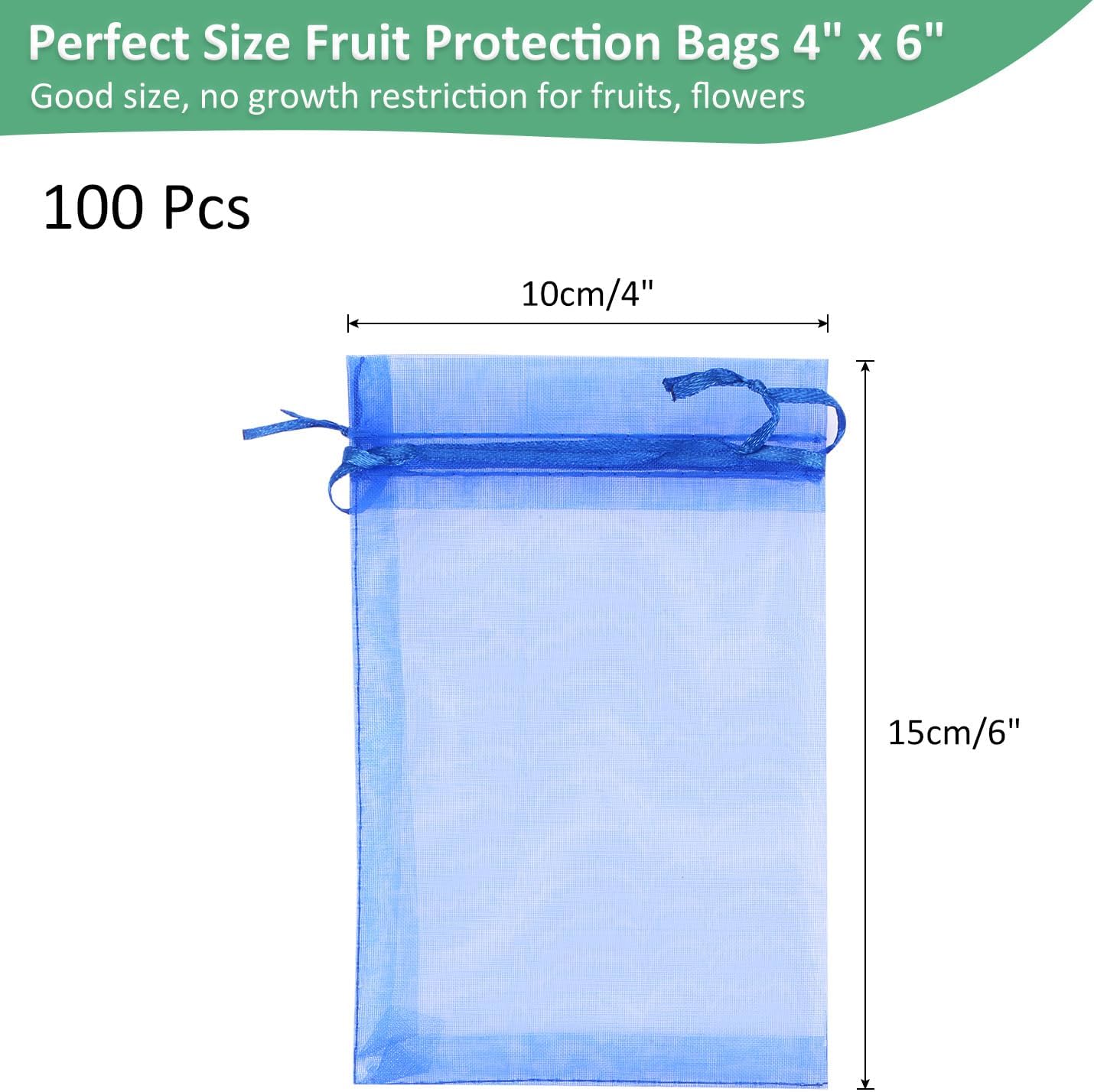 71SF3lebOVL._AC_SL1500_.jpg