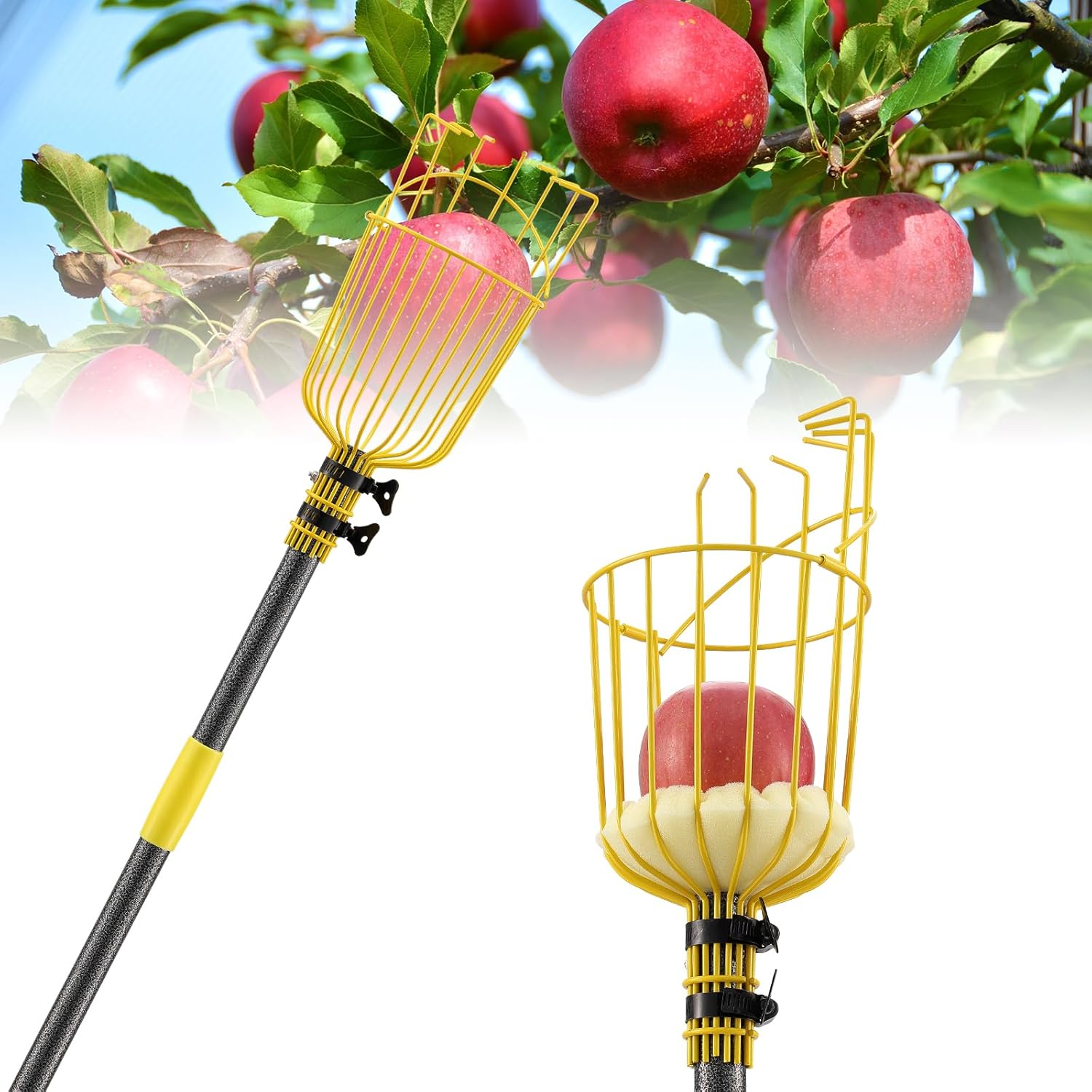 Fruit Picker Apple Picker, 66 Inch Long Heavy Duty Fruit Picker Tool with Fruit Basket, Adjustable Splicing Extension Fruit Picker Pole Fruit Picking Grabber